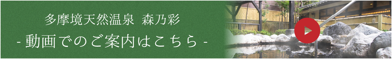 動画出のご案内はこちら